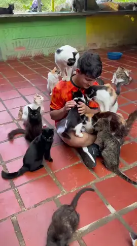 Y los gatos como reciben las visitas ?? Pues.... 😻💚✨ #latropagatunadeyanet #tropacomunidad 