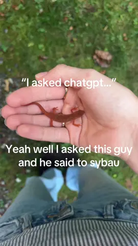 newt says to stop using AI cause it’s wrecking his home #newt #fypシ #chatgpt #sybau 
