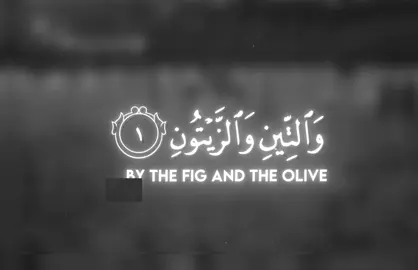 Surah At-Tin | 1-8 | Reciter Nasser Al-Qatami | #قران #هادف #quran #quranrecitation #قران_كريم_ارح_سمعك_وقلبك #ناصر_القطامي #nasseralqatami 