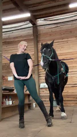 The little lip warbles 🥹 he was sleepy #horsegirl #horsesoftiktok 