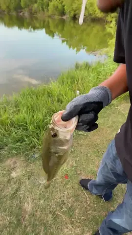 #fyp #foryoupage #fishing 