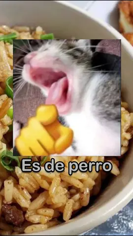 #vtuber #vtuberclips #vtuberespañol #sugarser0 #sugarser0entwitch #historiadelperu🇵🇪 #peru🇵🇪 