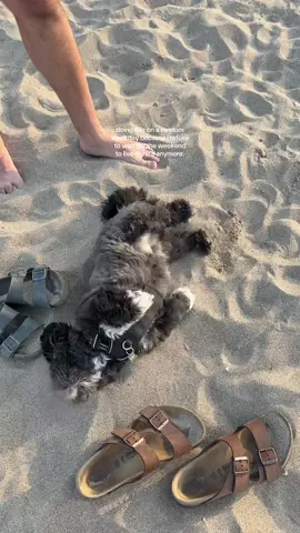 decided to start doing things even when i’m often tired after my 9-5… here’s to not waiting around for the weekend to live your life!!!! 🫶🏼 #romanticizeyourlife #romanticizeweekdays #romanticizelife #mundanelife 