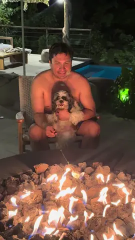 Feliz día Mundial del PERRO !! #diamundialdelperrro #mascota #julionalvarez 