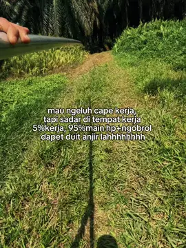 ciahhh🤪#sawittiktok🌴🌴🌴 #panensawit #panensawitpokoktinggi #fyp #fyppppppppppppppppppppppp 