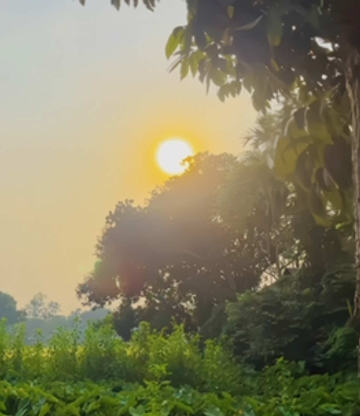 ❤️ #tiktok #furyou #প্রাকৃতিক_সুন্দর্য #প্রাকৃতিক #unfrezzmyaccount 