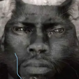 kevinhartcat ac @iluvrejd #kevinhartcat #alightmotionedit #drake #meme #edit fyp