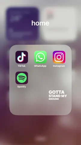 #fyp #4u #foryou #tiktok #spotify 