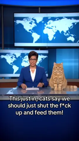 #funnycats #funnycatsvideos #funnypets #aipetvideo #aigenerated #newsupdate 