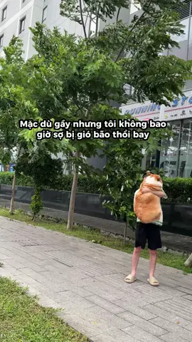 Trong tay pháo bảo khắc chế bão whipa #corgi #corgisoftiktok #xuhuong #pet #funny #fy #corgilove 