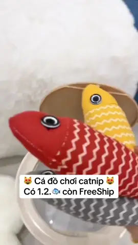 Đồ Chơi Cá Catnip dành cho Mèo, Đồ chơi Cá cho mèo con cắn Nhai cào xước, Đồ Dùng Cho Mèo #pet #cat #xuhuong #tieubonday #mèo #dochoichomeo #cacatnip 