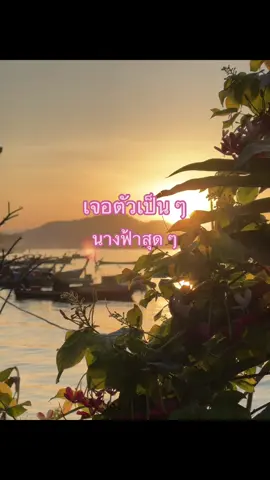 #bloss#[เซ็ทสุดคุ้ม]Bloss Jeli Booste#เจลลี่ผิวสวย 