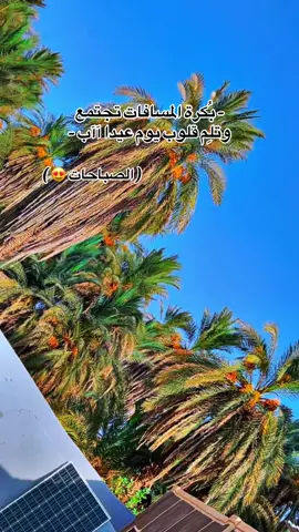 - و يعــووود شباب الـ في هواك يا حلوة بي أحزانه شـاب - ———————————- #الشمالية #السودان #طنبور #عبدالرحيم_ارقي #الطمبور_صديقنا_وعزنا_وملجأنا🎶🎼 