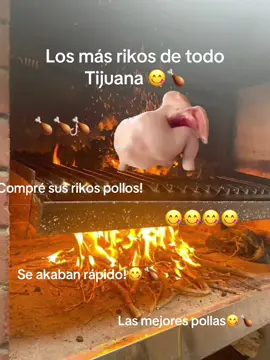 Rápido que se acaban 😋🍗🍗#pollos #noesparastalckear #pollitos #rikos #seacaban 