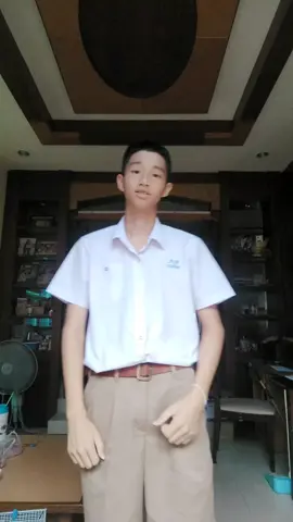 ชีต้าที่ไม่อยากเป็นเสือ 