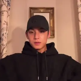 #mingyu #seventeen 