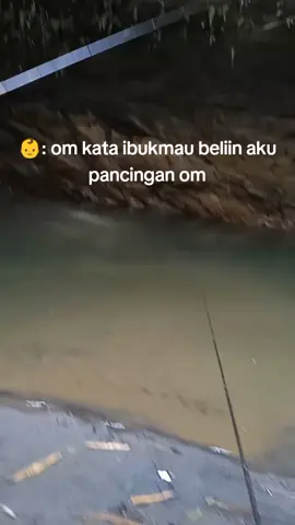 #fyp #masukberandafypシ #waderhunter #foryoupage #magelang24jam #mancingwader #mamcingnilem #soundviral #nutulnilem 