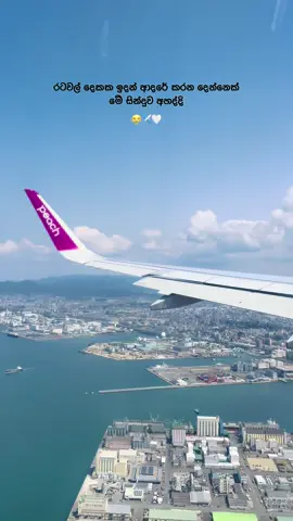😭✈️🤍 #fypツ #viral #onemillionaudition #follow #like #share #missyou #Love #kawee_status #fypツviral #スリランカ🇱🇰 #日本🇯🇵 