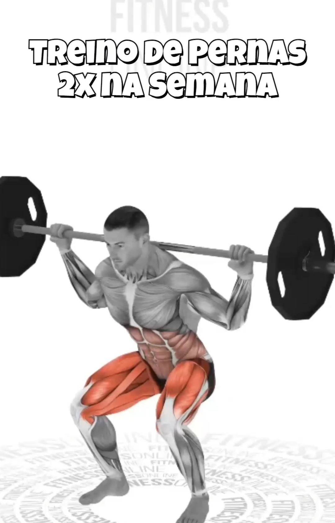 Treino de pernas completo 2x na semana. #treinodepernas #treino #perna #treinodeinferiores #inferiores #academia #musculação 