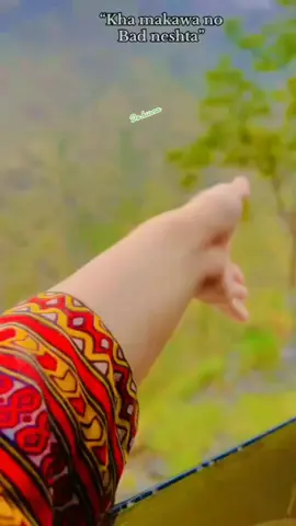 #پکتیا#foryoupage❤️❤️ #viralvideo #پشتون_تاجیک_هزاره_ازبک_زنده_باد🇦🇫 #unfrezzmyaccount #افغانستان🇦🇫❤️🙏💪✌️ 