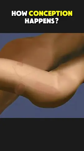 Ever wondered how conception happens? so let see now . medical 3d animations. #MedicalEducation #conceptionhappens #menshealth #LearnOnTikTok 