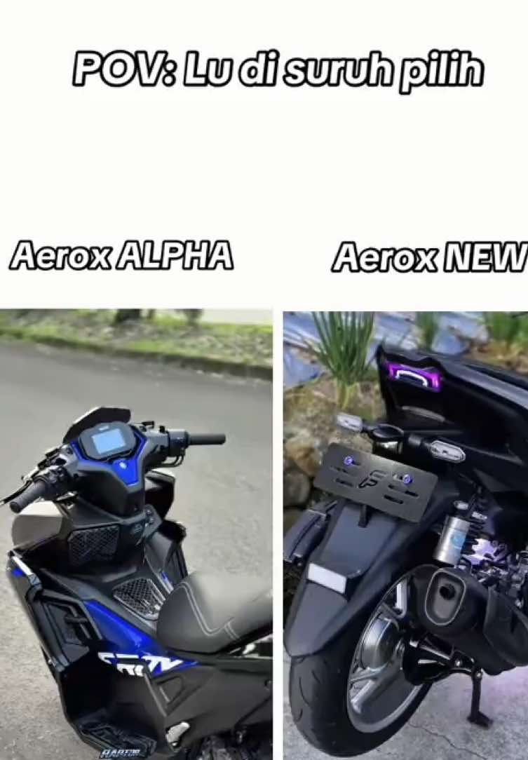 Kalau jadi kalian pilih mana? @Raptor. #aerox155 #aeroxalpha #fyp 