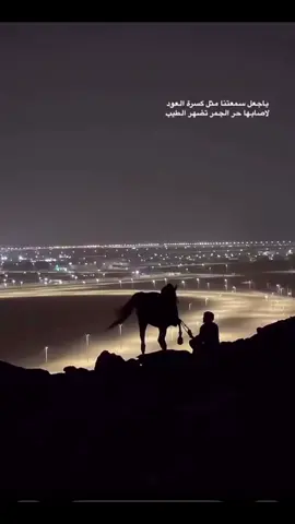 #اكسبلور #خيل_وخياله🐎 #you #fyp #خيل_عربي #اكسبلورexplore 