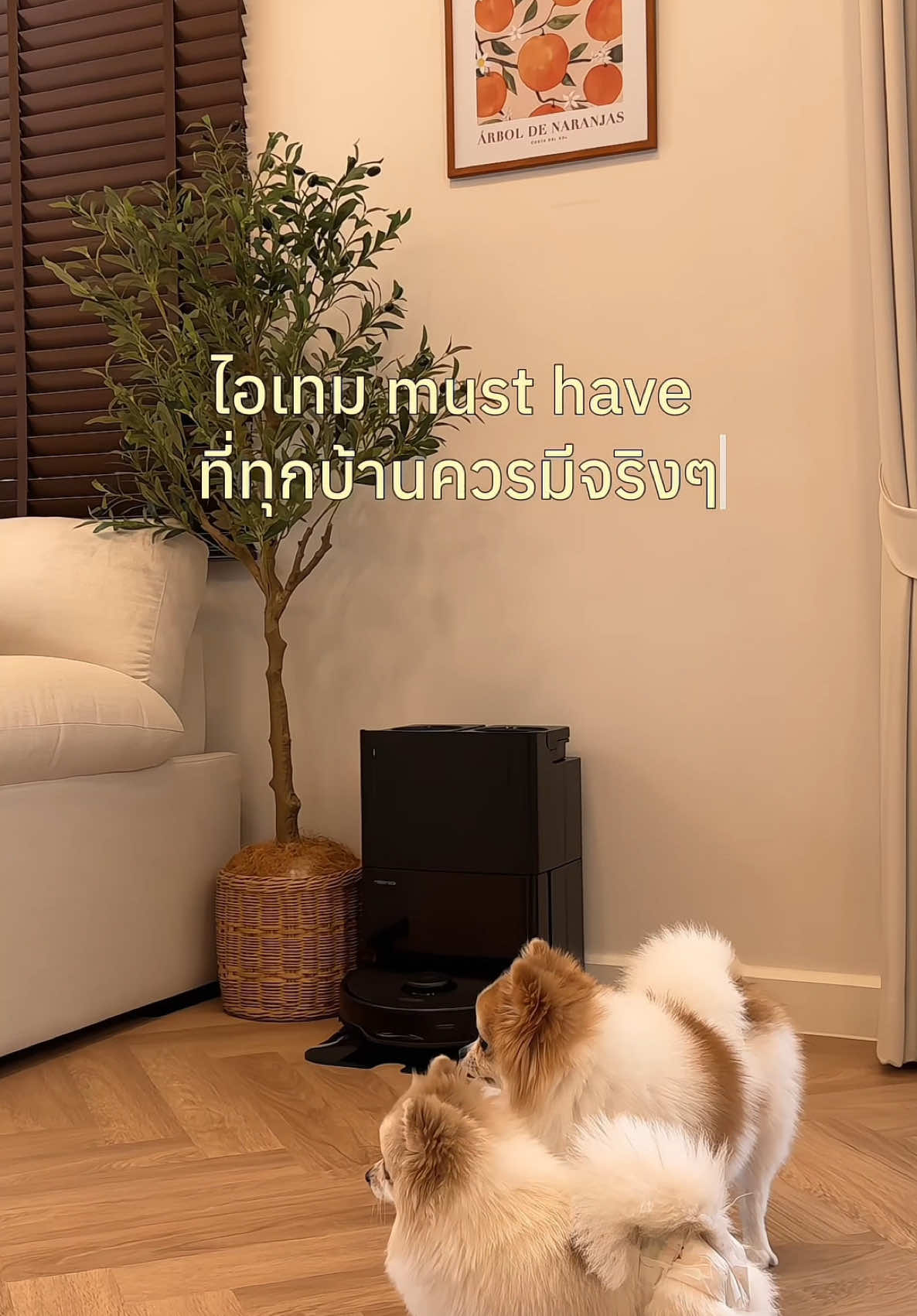 Roborock Qrevo Edge 5V1 ตัวช่วยสำหรับคนไม่มีเวลาทำความสะอาดบ้านที่มีแล้วชีวิตดีขึ้น 200%   @Roborockthailand  #พลังสะอาดเหนือชั้นกับRoborock #RoborockTH #RoborockQrevoEdge5V1