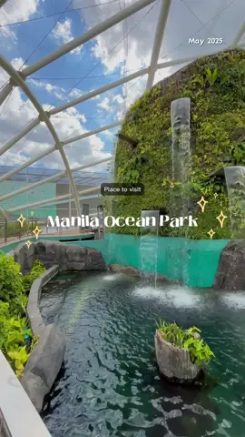 Manila Ocean Park 2025 🐬 #manilaoceanparkadventure #aquariumdate #fyp #dateideas 