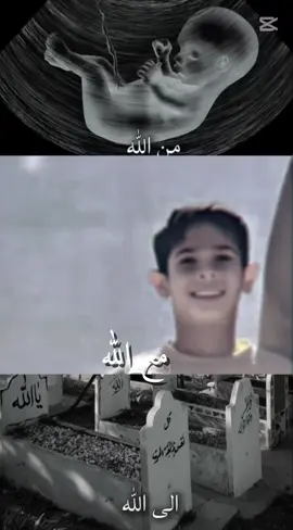 #شعب_الصيني_ماله_حل😂😂 