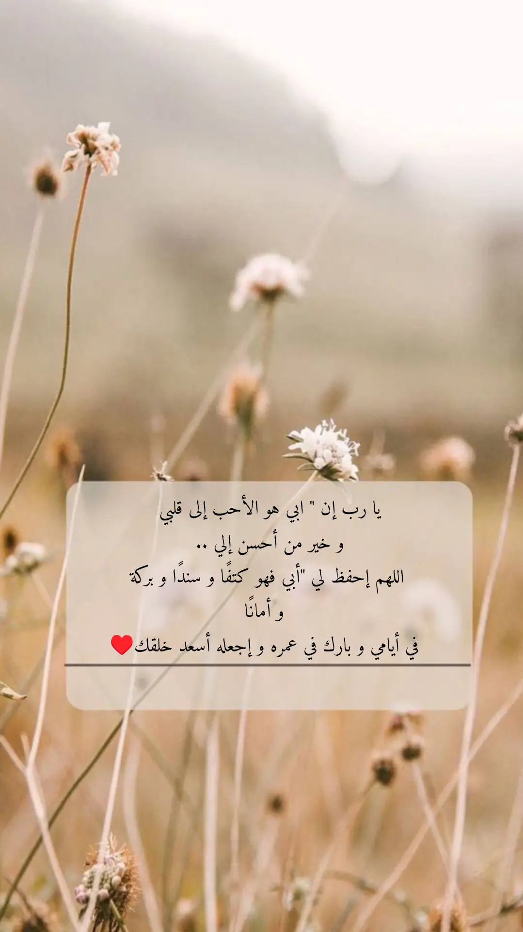 #أبي #الأب  #explore #حكم_وأمثال_وأقوال #اكسبلور 