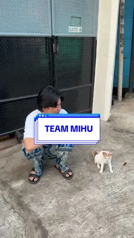 #stitch @Mario Caesar MAHI MAHI NO, MIHU MIHU YES!! #TeamMIHU 
