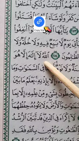 Aytul Kursi 📖🎧🖤 #quran #fyp #fypシ゚viral #قران #viral #tiktok #foryoupage #manzoorahmad7220 #growmyaccount #unfrezzmyaccount 