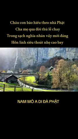 cha mẹ qua đời cúng chay hay mặn? giải đáp nghi vấn pghh trước năm 1975. #nammoadidaphat #pghh  #phatgiaohoahao #phatphapnhiemmau #tiktok  #fyp 