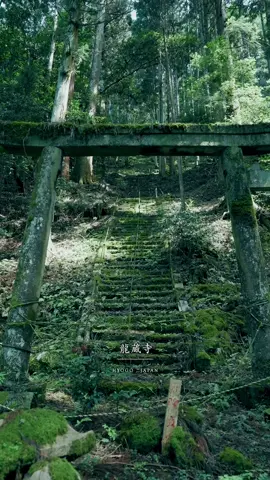 📍龍蔵寺【兵庫】 Ryuzoji Temple - Hyogo 兵庫県丹波篠山市にある天台宗の寺院。 西暦645年開山の古刹寺院です。 A temple of the Tendai sect located in Tamba Sasayama, Hyogo Prefecture. It is an old temple founded in 645 AD. 🎥 @howell.wakayama  Camera: SONY ZV-E1 / FE35mm F1.4 GM , FE24-70 F2.8 GM @sonycine  Gimbal : DJI RS4 @dji_japan  ______________ #Japan #japantravel #japantrip #torii #japanese    