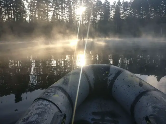 nimb fest forest  #fest #forest 