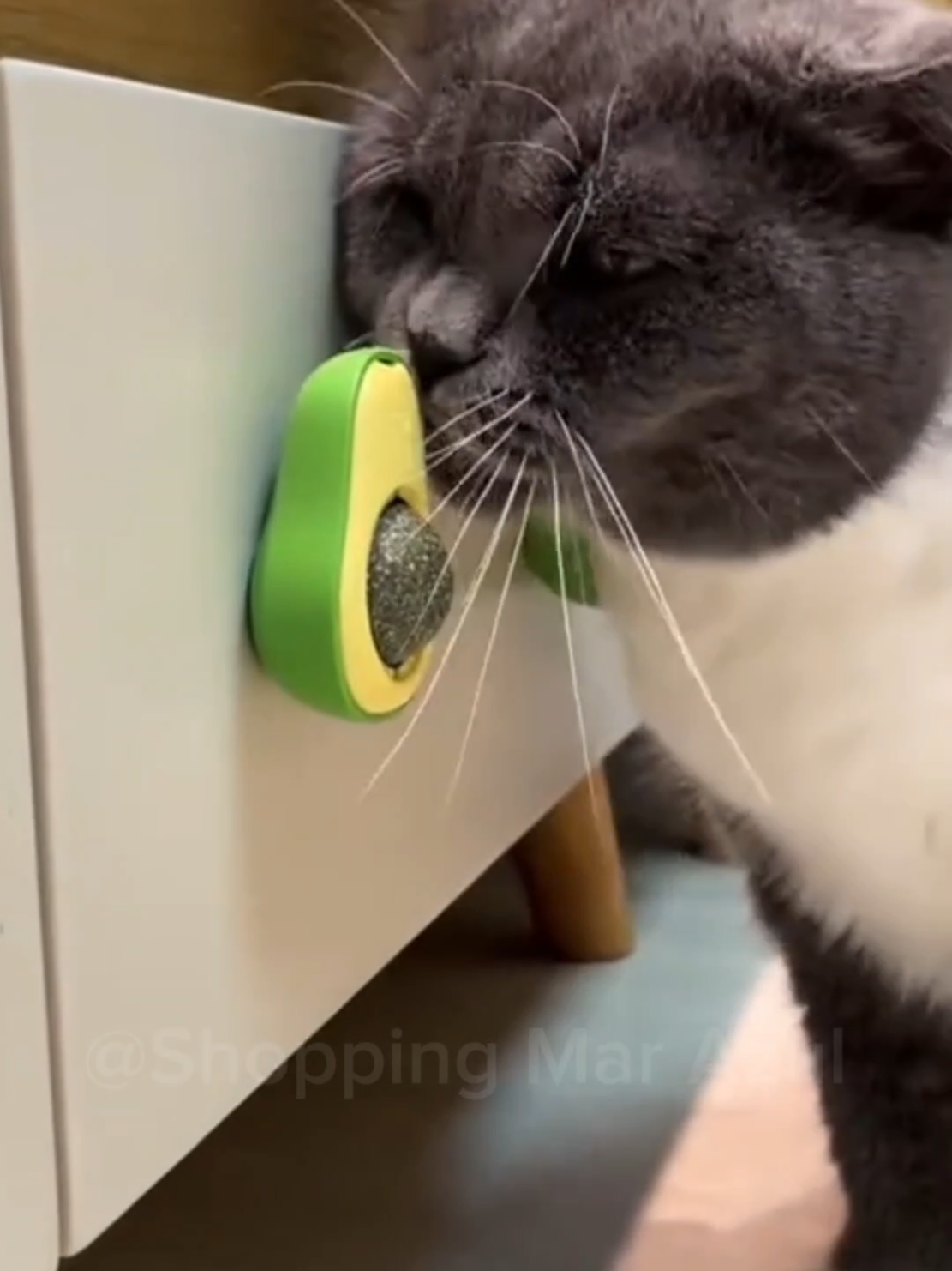 Abacate De Brinquedo Para Gato