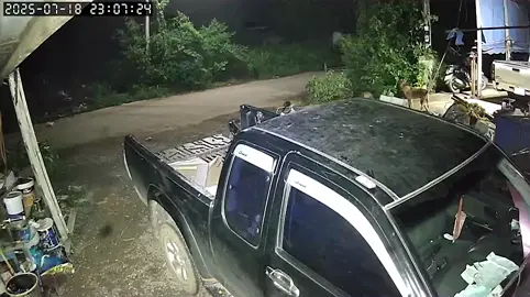 นี่ขาเดินกลับครับ ลองดูกันให้ชัดๆ ว่าเป้นที่กล้องหรืออะไรกันแน่#ไม่เชื่ออย่าลบหลู่ #เรื่องลี้ลับมีอยู่จริง #คลิปหลอน #เรื่องน่ากลัว 