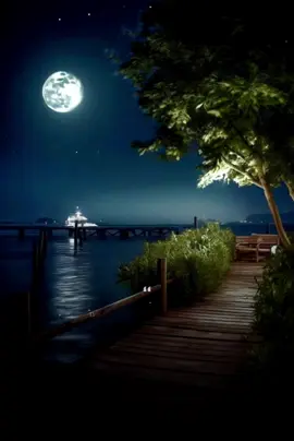 Nếu ánh trăng kia không đến...! #nhachaymoingay #tamtrangchill #motchutchill_004 #xuhuong #tramdungchan 