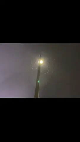 المهم يا ضحكة سنوني يا مطيح دمعة عيوني طحت معها واتضح . 🩶 #اكسبلور #تصويري📷 #explore #fyp #الشعب_الصيني_ماله_حل😂😂 