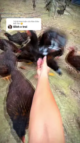 Trả lời @Nào Giàu Đổi Tên 🤫 