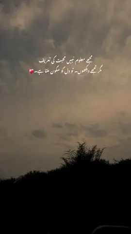 مجھے معلوم نہیں محبت کی تعریف ۔❤️‍🩹  #sudais #foryou #foryoupage #esthetic #status #ontik #fypシ 