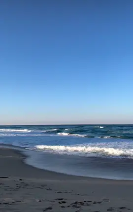 ㅈㅅㅅㄷ,ㅈㅎ,ㅅ,ㄷㅂ 다 해봤어요 궁금한거 있으면 물어보세요 다 답변해드려요 #우울전시미안해요 #미안해 
