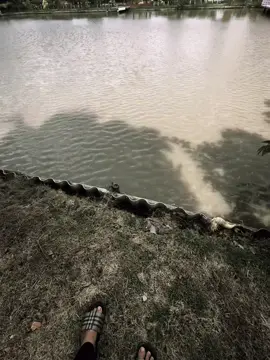 #viral 