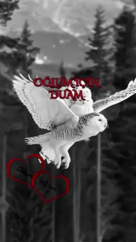 #keşfet 