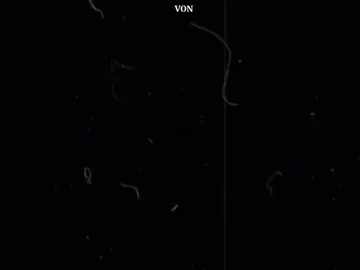 တစ်ယောက်တည်းပဲကောင်းတယ် . . . #foryoupage #lyrics #fyp #myanmartiktok🇲🇲 #alightmotionedit #1millionaudition #viewsproblem #fyp #viewbooster #likeaboss #likeaboss #foryoupage #lyrics 