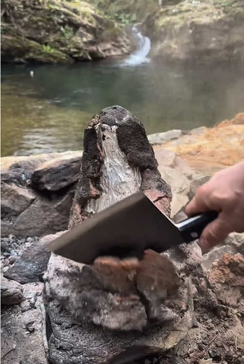 Chicken grilled in mud in the wild 🐓🪵🔥💦 #cookingasmr #outdoorcooking #leon #Recipe #cookingnature #camping #foodtiktok #chicken #grilled 