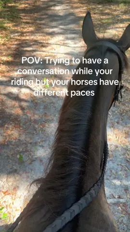 🤦‍♀️🤣 @gabby.mitchell30 #foryoupage #horse #relatable #fyp #pov 