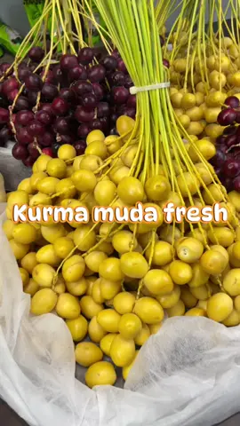 Kurma muda masuk lagi , sekali ni mai comel comel yg warna merah. Rasa fresh betul yang comel ni #kurmafresh #halalhalal