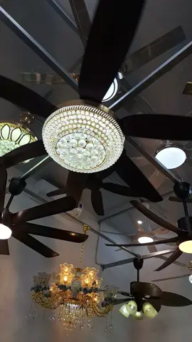 quạt trần 6 cánh pha Lê chuyên lắp phòng khách #quattran6canhphale #quat #tingkhoquatdenhuongtu 